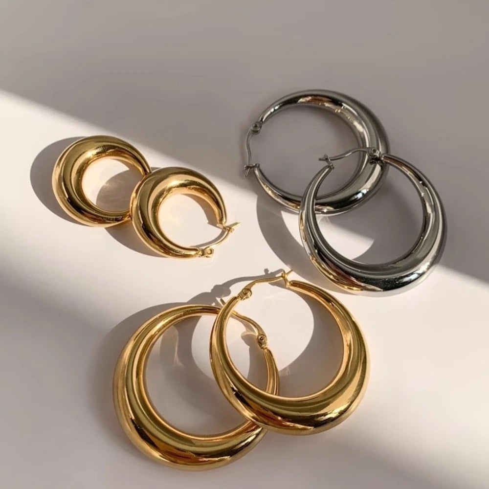 Stainless Steel Hoop Earrings